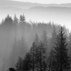 Ambient