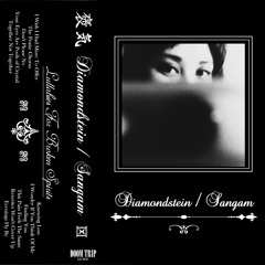 Diamondstein / Sangam - I Wish I Had More To Offer