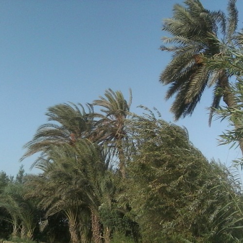 جريان