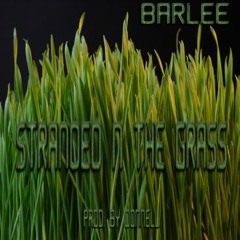 STRANDED N THE GRASS (FREESTYLE) [PROD. BY DONNELL]