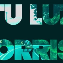 TENGO TU LUZ MASTER 1 PRUEBA