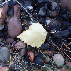 Soledad In Solitude By Mirra Lukenglas