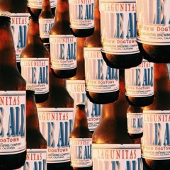 Cold Lagunitas
