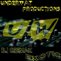 Dj Csemak - Exotic (original Mix)