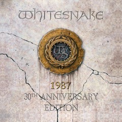 Whitesnake - Is This Love 87 Evolutions Version BR