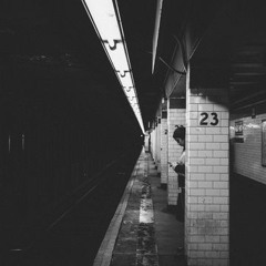 Careless Suggestions Vol.5