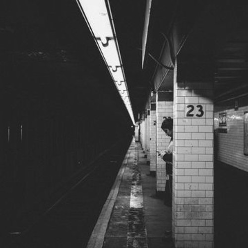 Careless Suggestions Vol.5
