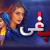Baaghi Ost Full Song Urdu 1 By Pakistani Drama The Song Is Sung By Shuja Haider Mp3