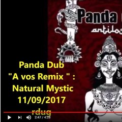 Panda dub Feat Youyou - Natural Mystic (R-Dug remix )
