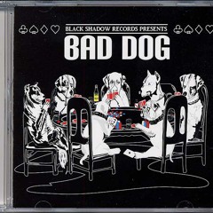 Bad Dog riddim (2007) Black Shadow records instrumental