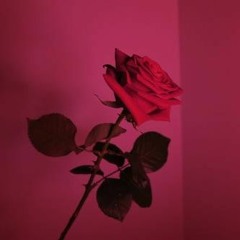 សុំស្នេហ៍ព្រះពាយផាត់ (សុីន សុីសាមុត + ប៉ែន រ៉ន)