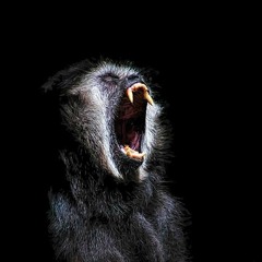 La Menace Du Singe