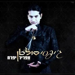 Gipsy Sultan - Zafrir Ifrach  (ג'יפסי סולטן - צפריר יפרח (קליפ רשמי