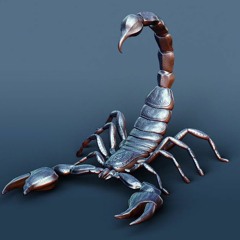 Still Loving You (Scorps Cover w/ Macman)