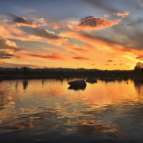 parkbreezy x pheel. - milkshakes