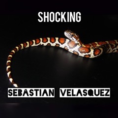 Shocking(Original Mix)