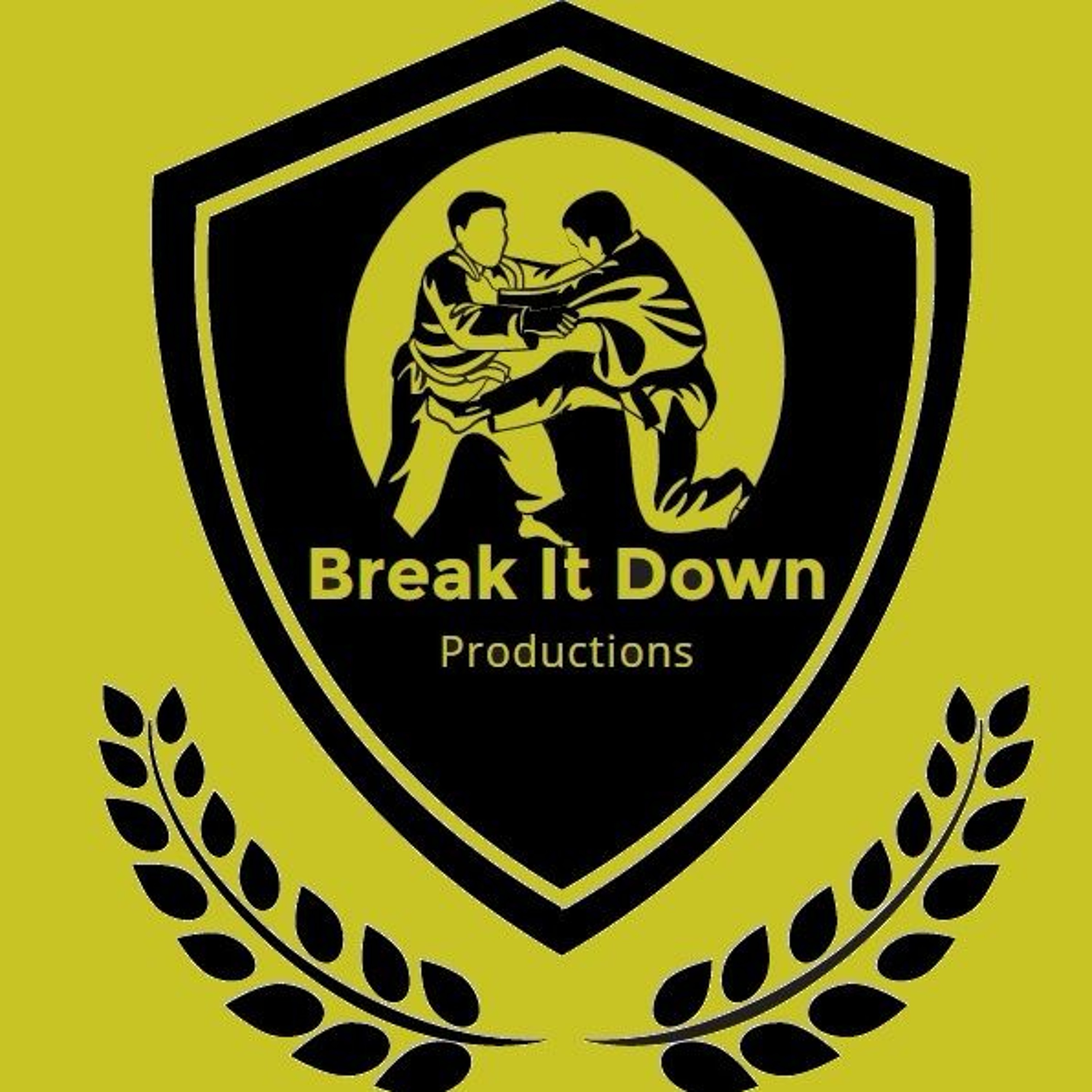 Recreational vs Competitive Martial Arts episode artwork