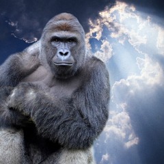 K-K-KOOL AD- a Kool AD Mix