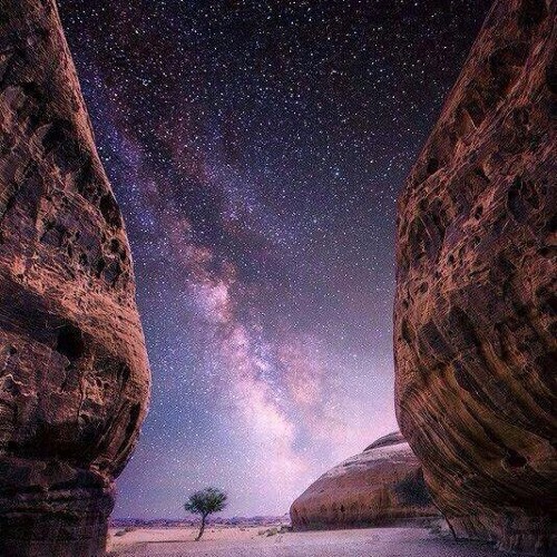 المتنبي وحيدا في شارع قابل