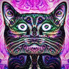 Gabi // Set // Août // 2017 // Cannes