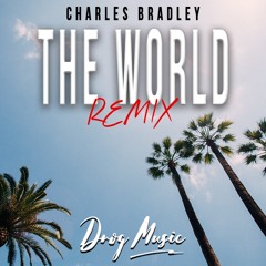 Charles Bradley - The World (DROG Remix) ( Free DL)
