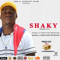 SHAKY-GANG A TOUS LES NIVEAUX