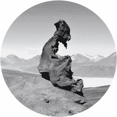 Premiere: Audiofly & Patrice Bäumel - Atacama