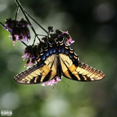 Cant Explain (Prod By Wizz Dakota) <3