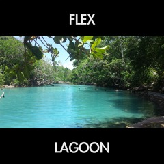 FLEX - LAGOON (BIG FLEX MIX)