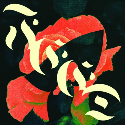 Feed - Different Life