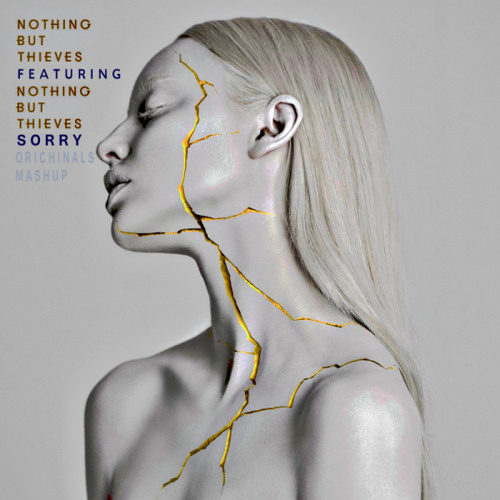 Listen to Nothing But Thieves Feat, Nothing But Thieves - Sorry (Orichinals  Mashup) by Orichinals in nothing but thieves. playlist online for free on  SoundCloud