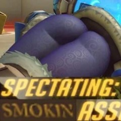i swear i wont use this meme EVER again