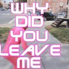 WHY DID YOU LEAVE HIM