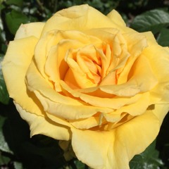 dvsn - Think About Me (Chopped & Screwed)