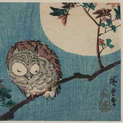 hoot