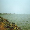 Le Port De Douala/ Jungle Mix 5 / B Line