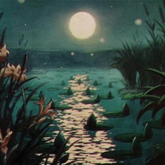 -   - - serial experiment lain    -    -   --  ~- ~~✉   ˘ ˘