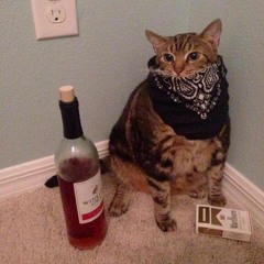 THe cat the fag and the plug eat heavy