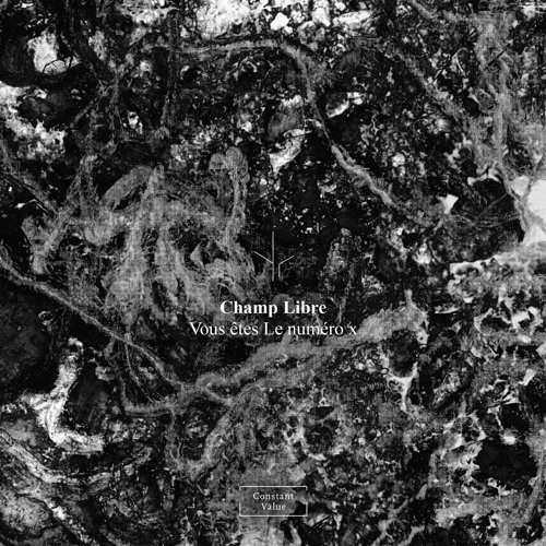 Second Spectre - [273] - preview (Constant Value Records)