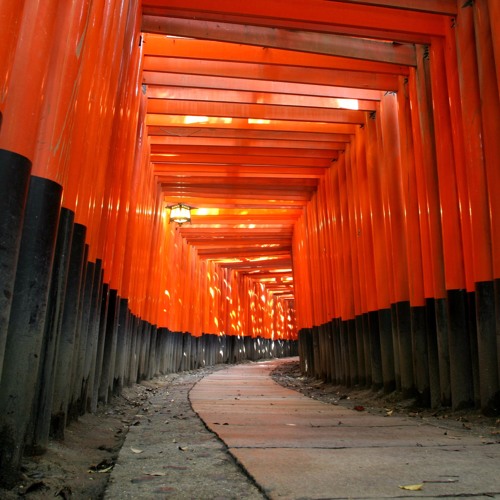 ⛩️ Fall Into Place ⛩️