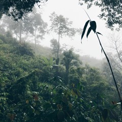 เขาแหลม , ราชบุรี