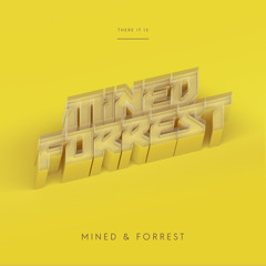 Mined & Forrest - THERE IT IS (Jayl Funk Remix)