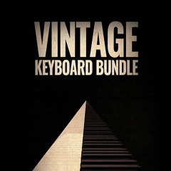 8Dio Vintage Keyboard Bundle: "Earching And Unraveling" by Bill Brown