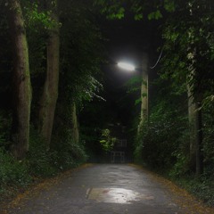 The Witches from the Fir Way