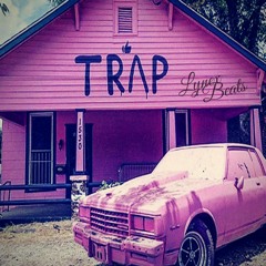 Trap House (FOR SALE)