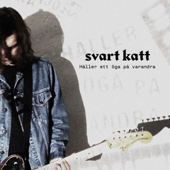 Svart katt - Håller ett öga på varandra