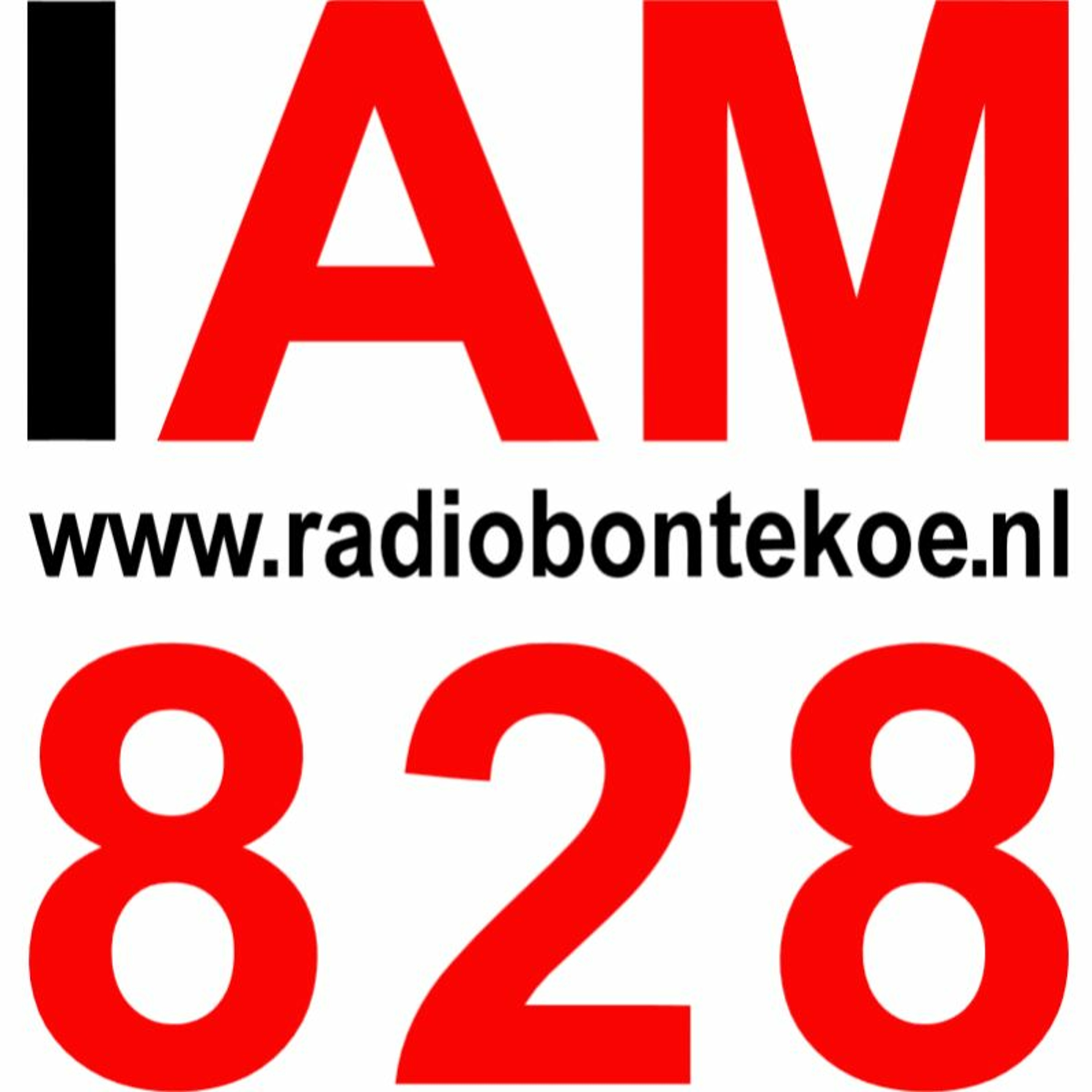 Column Van Sjaak Grosthuizen 4 mei 2019