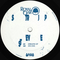 Strip Steve - Shy Funk EP - Clone Royal Oak 039