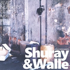 Blaq Numbers Guest Mix #030 - Shuray & Walle