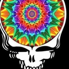 Hitech Psychedelic And I Loved It